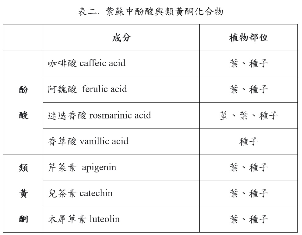 紫蘇中酚酸與類黃酮化合物